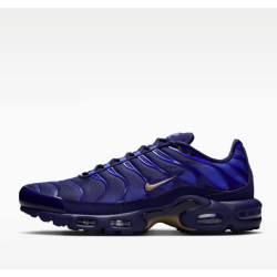 Nike Air Max Plus OG "FFF"